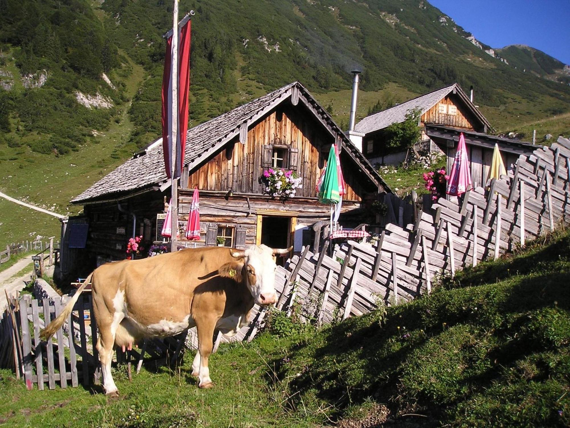 Ferienwohnung Renate Hubner Gosau Buitenkant foto
